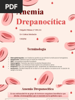 Anemia Drepanocítica