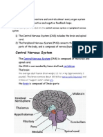 The Nervous System