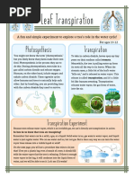 Transpiration Experiment