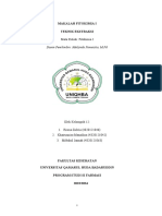 Makalah Kelompok 12 Fitokimia (Teknik Ekstraksi)