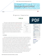 Órganos Vegetales. Hoja. Atlas de Histología Vegetal y Animal 7