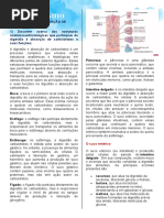 Digestão e Absorção de Carboidratos