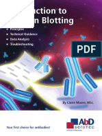 Introduction To Western Blot