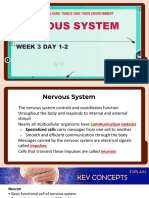 Coordination of Nervous System and Endocrine System To Achieve Homeostasis