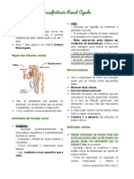 Insuficiência Renal Aguda