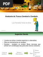 Anatomia Do Tronco e Vias PDF