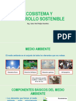 Ecosistema y Desarrollo Sostenible