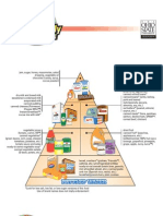 Survival - Emergency Food Pyramid