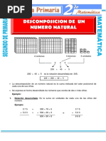 Descomposicion Del Numero Natural para Segundo de Primaria