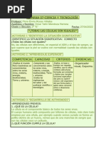 Tarea CyT, SM07