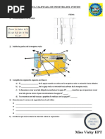 Practica Calificada de Industria Del Vestido