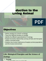 Module 1 - Introduction To The Living Animal