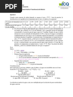 Pauta Práctica 4 TDM