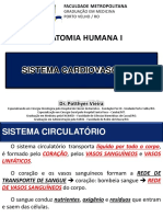 07 - Sistema Cardiovascular - Introdução