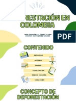 Deforestación (2) - Compressed