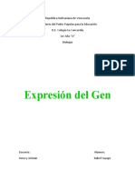 Expresión Del Gen. Isabel Sayago 3er Año A