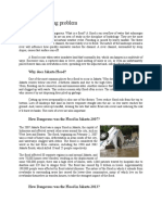 Factual Report Text - Flood in Jakarta