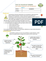 Manitas Verdes Guia 1