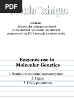 Restriction Enzymes 2023