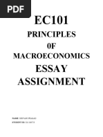 EC101 Essay Assignment