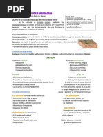 Libro Geología-Sara