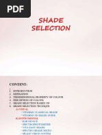 Shade Selection 3