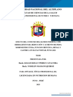 Perez Liliam Mamani Yoselin PDF