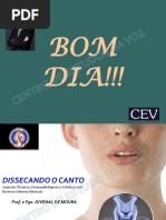 Dissecando o Canto-2017-Cev PDF