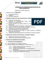 Estructura - Organica - y - Organigrama MDCH