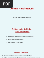 3.cell Injury Necrosis