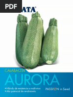 Calabaza Aurora PDF