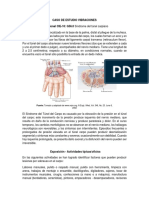 Caso de Estudio Vibraciones PDF