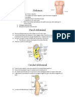 Abdomen