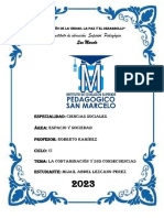 La Contaminación y Sus Consecuencias - Mijail Abdel Lezcano Perez PDF