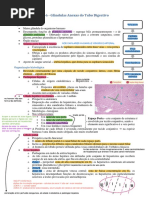 T5-6 Glândulas Anexas PDF