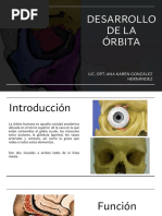 Desarrollo de La Órbita PDF