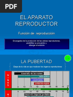 El Aparato Reproductor