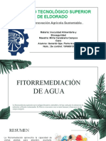 Fitorremediacion H2O