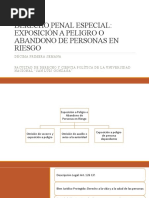 Derecho Penal Especial: Exposición A Peligro O Abandono de Personas en Riesgo