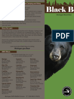 Black Bears Brochure