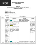 Cuadro Comparativo