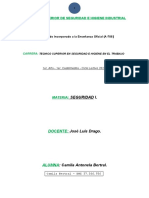 Tp-Seguridad I - Prof Jose Luis Drago - Camila Bertral - 2022.