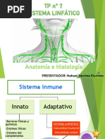 Tejido Linfático PDF