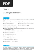 Calculo Tema 1