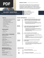 Valeriy Nemyrov CV