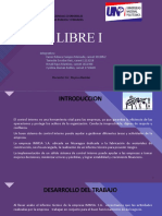 Control Interno Libre I