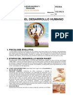 Etapas Del Desarrollo