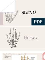 Huesos de La Mano