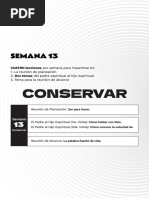 Temas Sem 13 - CONSERVAR PDF