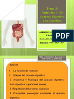 Tema 3 PDF